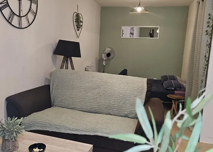 Apartamento 49 Centre-ville Box A Bagages Gratuits *