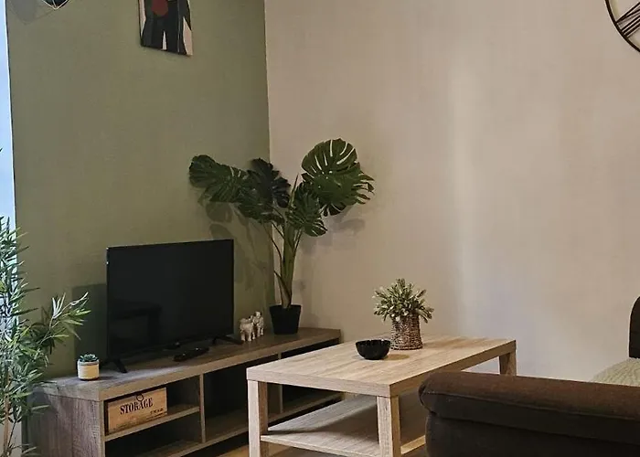 49 Centre-ville Box A Bagages Gratuits Apartamento Carcassonne
